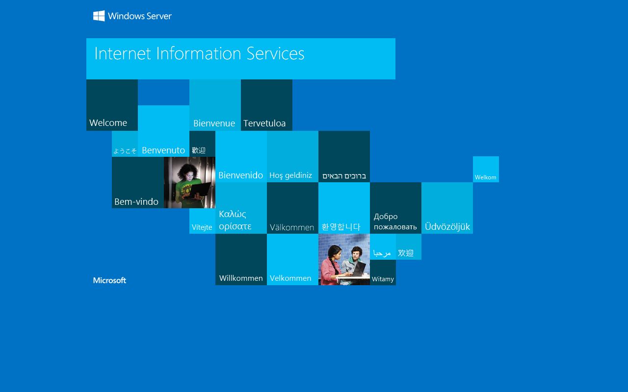 Chesapeake Sheriff's Office 72 hour booking inmate lookup tool