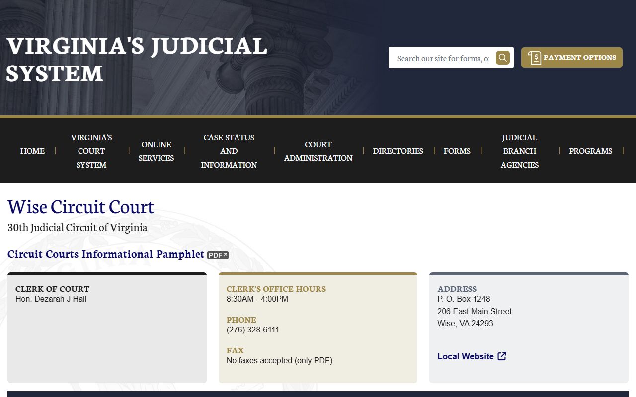 Wise County Circuit Court 72 hour booking case lookup page